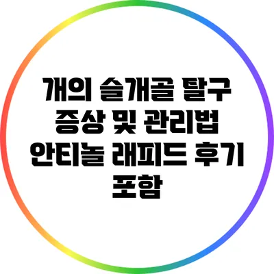 개의 슬개골 탈구 증상 및 관리법: 안티놀 래피드 후기 포함