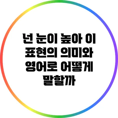 넌 눈이 높아: 이 표현의 의미와 영어로 어떻게 말할까?