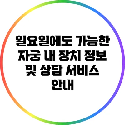 일요일에도 가능한 자궁 내 장치 정보 및 상담 서비스 안내