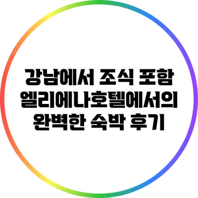 강남에서 조식 포함 엘리에나호텔에서의 완벽한 숙박 후기