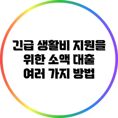 긴급 생활비 지원을 위한 소액 대출 여러 가지 방법