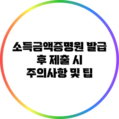 소득금액증명원 발급 후 제출 시 주의사항 및 팁