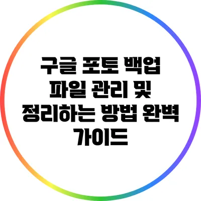 구글 포토 백업 파일 관리 및 정리하는 방법 완벽 가이드