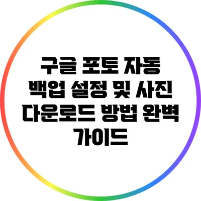구글 포토 자동 백업 설정 및 사진 다운로드 방법 완벽 가이드