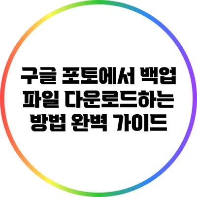 구글 포토에서 백업 파일 다운로드하는 방법 완벽 가이드