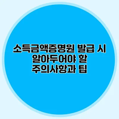 소득금액증명원 발급 시 알아두어야 할 주의사항과 팁
