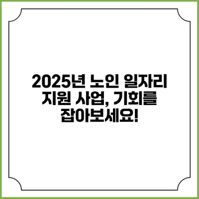 2025년 노인 일자리 지원 사업, 기회를 잡아보세요!