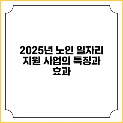 2025년 노인 일자리 지원 사업의 특징과 효과
