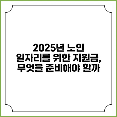 2025년 노인 일자리를 위한 지원금, 무엇을 준비해야 할까?