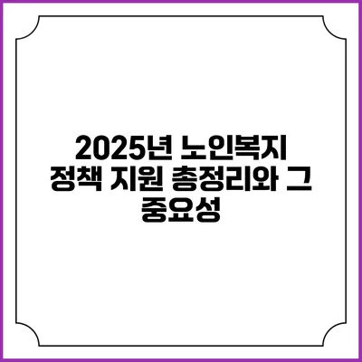 2025년 노인복지 정책 지원 총정리와 그 중요성