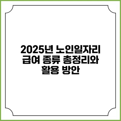 2025년 노인일자리 급여 종류 총정리와 활용 방안