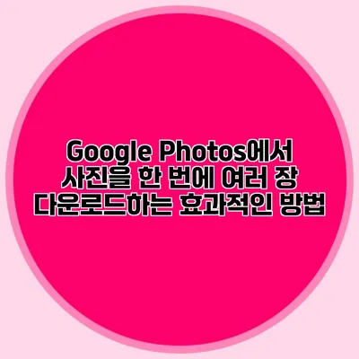 Google Photos에서 사진을 한 번에 여러 장 다운로드하는 효과적인 방법