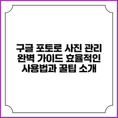 구글 포토로 사진 관리 완벽 가이드: 효율적인 사용법과 꿀팁 소개