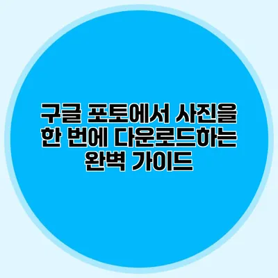 구글 포토에서 사진을 한 번에 다운로드하는 완벽 가이드