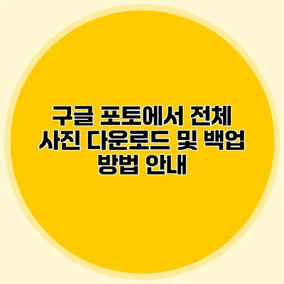 구글 포토에서 전체 사진 다운로드 및 백업 방법 안내