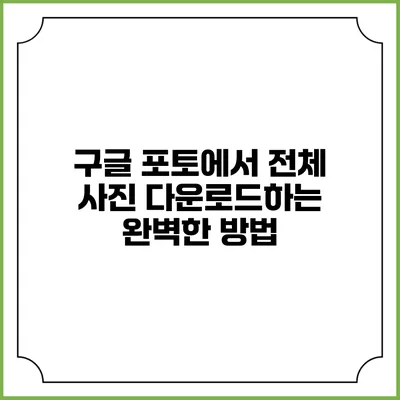 구글 포토에서 전체 사진 다운로드하는 완벽한 방법