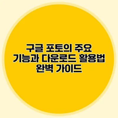 구글 포토의 주요 기능과 다운로드 활용법 완벽 가이드