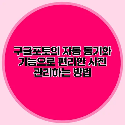 구글포토의 자동 동기화 기능으로 편리한 사진 관리하는 방법
