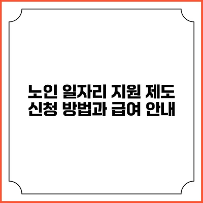 노인 일자리 지원 제도: 신청 방법과 급여 안내