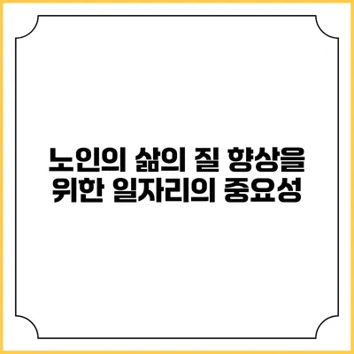 노인의 삶의 질 향상을 위한 일자리의 중요성