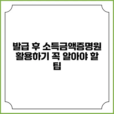 발급 후 소득금액증명원 활용하기: 꼭 알아야 할 팁