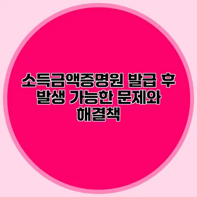 소득금액증명원 발급 후 발생 가능한 문제와 해결책