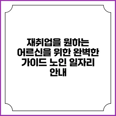 재취업을 원하는 어르신을 위한 완벽한 가이드: 노인 일자리 안내