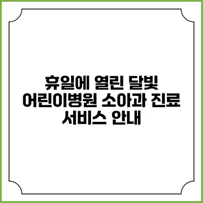 휴일에 열린 달빛 어린이병원 소아과 진료 서비스 안내