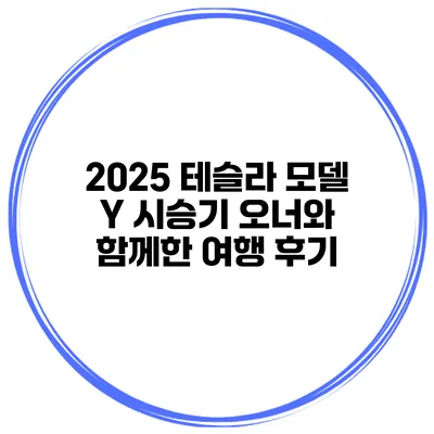 2025 테슬라 모델 Y 시승기 오너와 함께한 여행 후기