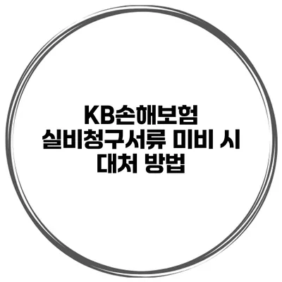 KB손해보험 실비청구서류 미비 시 대처 방법