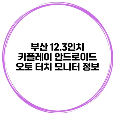 부산 12.3인치 카플레이 안드로이드 오토 터치 모니터 정보