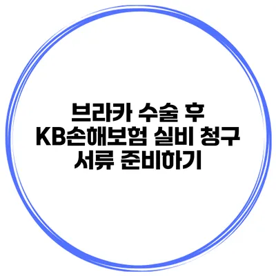 브라카 수술 후 KB손해보험 실비 청구 서류 준비하기