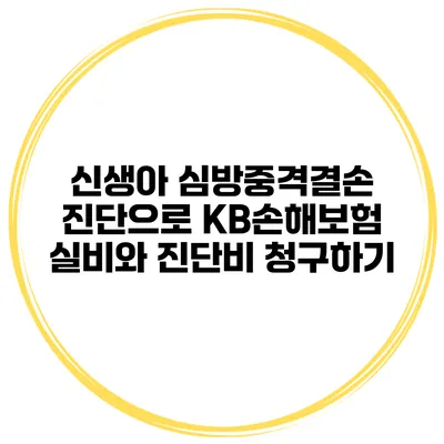 신생아 심방중격결손 진단으로 KB손해보험 실비와 진단비 청구하기