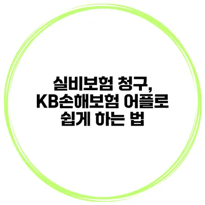 실비보험 청구, KB손해보험 어플로 쉽게 하는 법