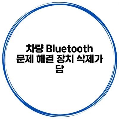 차량 Bluetooth 문제 해결 장치 삭제가 답